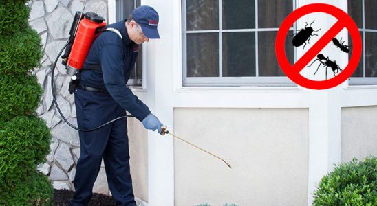 Seydişehir Gümüşkurt İlaçlama böcek ilaçlama ve haşere kontrolü — ilaclama-tr.com